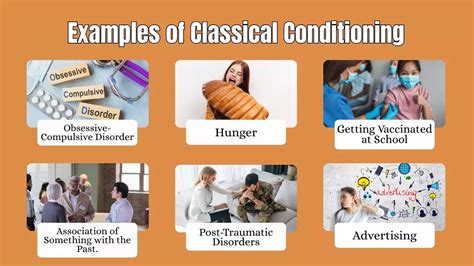 Classical Conditioning Examples In Everyday Life