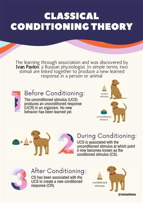 Classical Conditioning Theory Of Learning