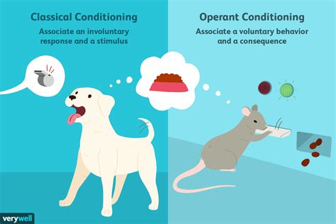 Classical Vs Operant Conditioning