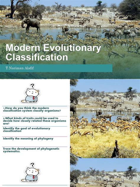 Classification Modern Evolutionary Section Review Answer Key
