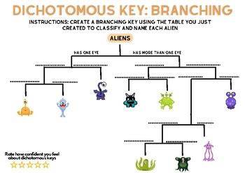 classification of aliens dichotomous key answers