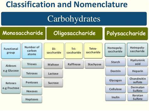 classification of carbohydrates 10 marks answer