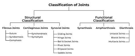 Classification Of Joints