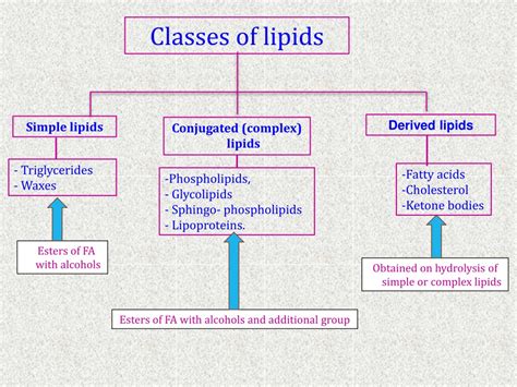 Classification Of Lipids Ppt
