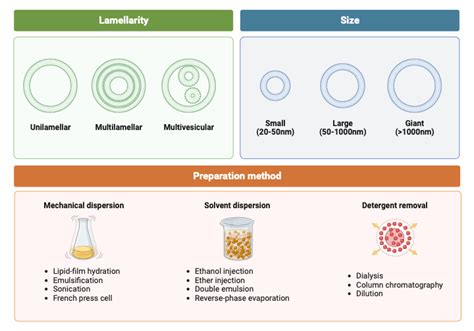 classification of liposomes