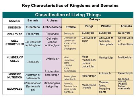 Classification Of Living Things Chart
