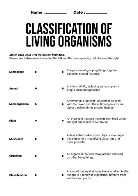 Classification Of Living Things Worksheet Answers