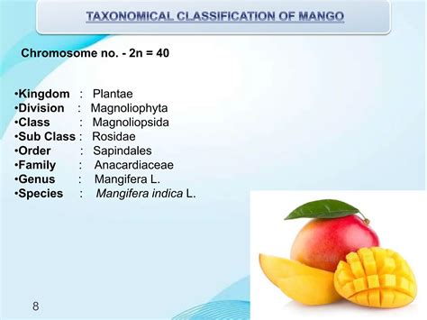 Classification Of Mango
