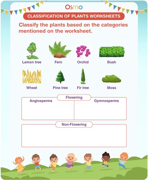 Classification Of Plants Worksheets Download Free Printables Osmo Plant Worksheets 3rd Grade - Plant Worksheets 3rd Grade