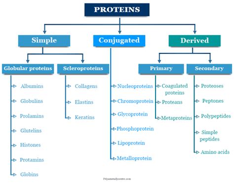 Classification Of Proteins Pdf