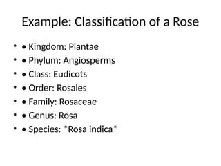 Classification Of Rose