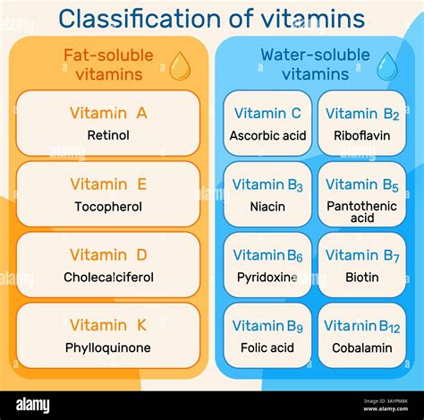 Classification Of Vitamins