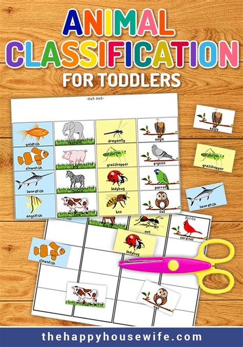 Classification With Worksheets Videos Games Amp Activities Constructing A Cladogram Worksheet Answers - Constructing A Cladogram Worksheet Answers