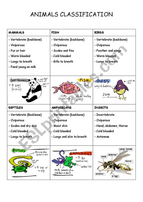 Read Classification Practice Animals Answers 