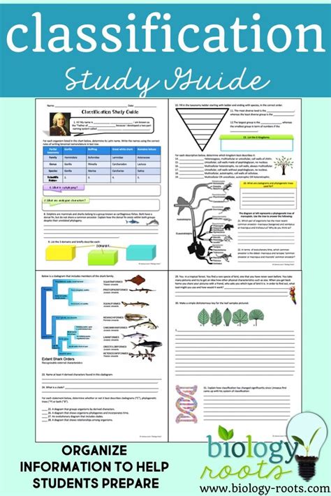 Full Download Classification Study Guide 