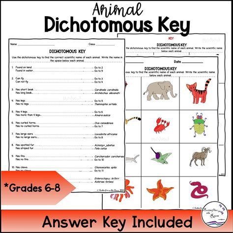 Full Download Classification Using Dichotomous Key Answers Spydar 
