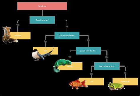 Download Classification Using Dichotomous Keys Leydenscience 
