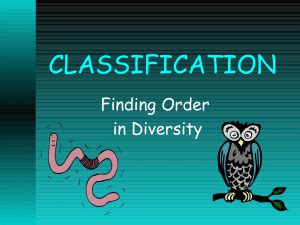 Read Classification Webquest 2009 Documents 