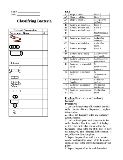 Classifying Bacteria Answers