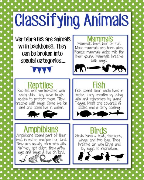 Classifying Critters Lesson Plan Genus Species Linnaean Taxonomy Worksheet Sixth Grade - Taxonomy Worksheet Sixth Grade