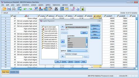 Classifying Customers Using Ibm Spss Modeler V16