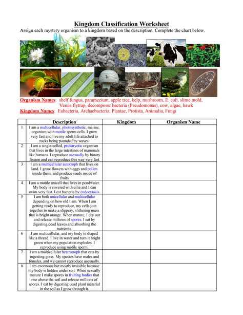 classifying kingdoms table answer key