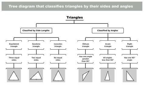 Classifying Triangles And Quadrilaterals