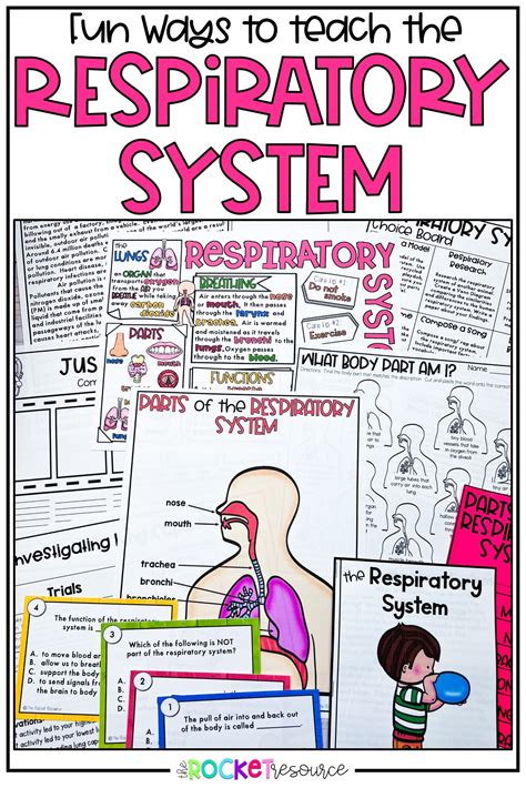 Classroom Activities For The Respiratory System Respiratory System Activities For Elementary Students - Respiratory System Activities For Elementary Students