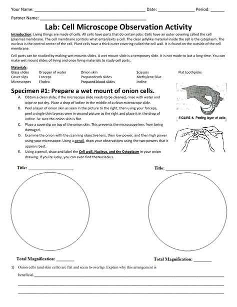 Classroom Activity Cells And Microscopes Britannica Education Microscope Measurement Worksheet - Microscope Measurement Worksheet