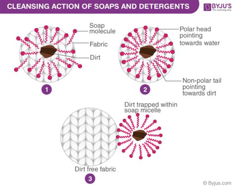 Cleansing Action Of Soap
