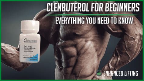 clenbuterol cycle for beginners​
