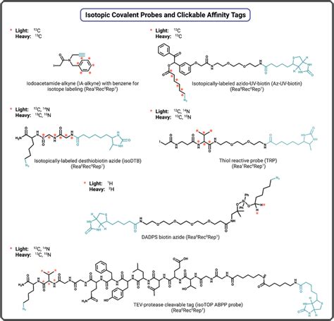 Clickable Covalent Probes
