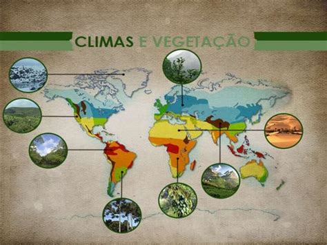 Climas E Vegetações