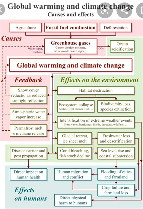 Climate Change 1 Graphic Organizer Cause And Effect Cause And Effect Graphic Organizer Doc - Cause And Effect Graphic Organizer Doc