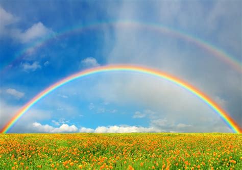 Climate Change Boosts Rainbow Sightings Science Behind The The Rainbow Science - The Rainbow Science