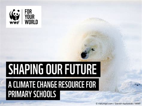 Climate Change Resources For Schools Wwf Climate Change Worksheet High School - Climate Change Worksheet High School