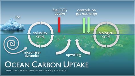 Climate Science Workbook Carbon Dioxideu0027s Ocean Chemistry Ocean Water Chemistry Worksheet Answers - Ocean Water Chemistry Worksheet Answers