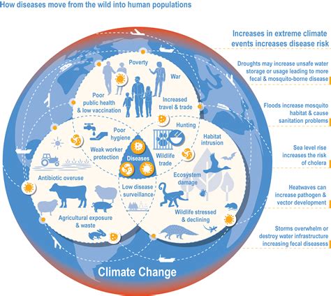 Download Climate Change Impacts Vulnerability And Adaptation In 