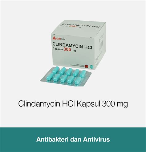 clindamycin 300 mg obat apa