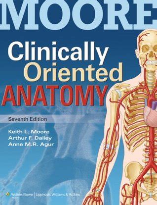 Clinical Oriented Anatomy Keith Moore 6th Edition