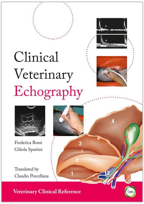 Clinical Veterinary Echography