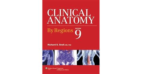 Read Clinical Anatomy By Richard Snell 7Th Edition 