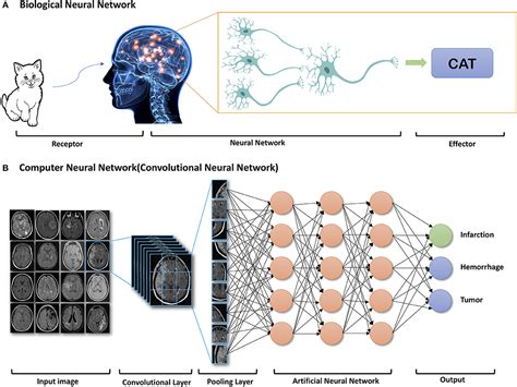 Read Clinical Applications Of Artificial Neural Networks 