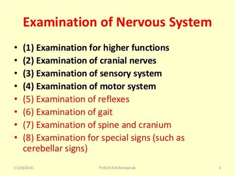 Read Online Clinical Examination Of The Nervous System 
