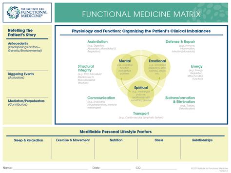 Full Download Clinical Integration And Functional Medicine Matrix Model 