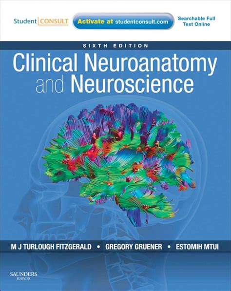Download Clinical Neuroanatomy And Neuroscience Fitzgerald Pdf Download 