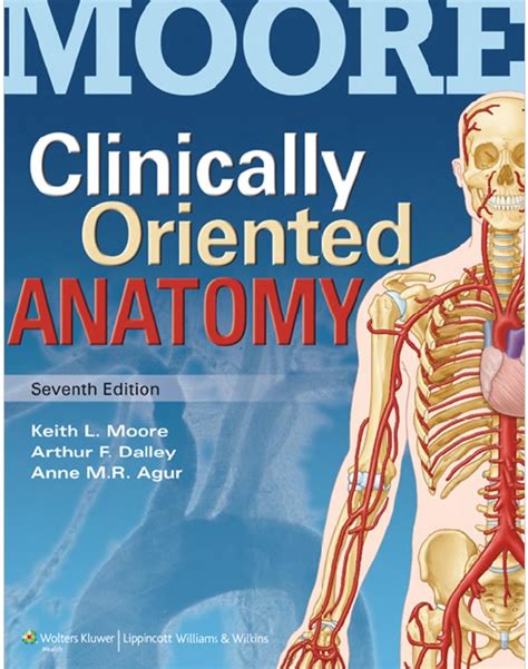 Read Clinical Oriented Anatomy Keith Moore 7Th Edition 