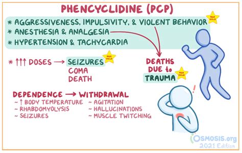 Full Download Clinical Pharmacology Of Phencyclidine Toxicity 