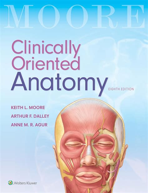 Clinically Oriented Anatomy Keith L Moore Arthur F Dalley Ii Anne Mr Agur 7th Revised Internat Edition By Moore Keith L 2013 Paperback