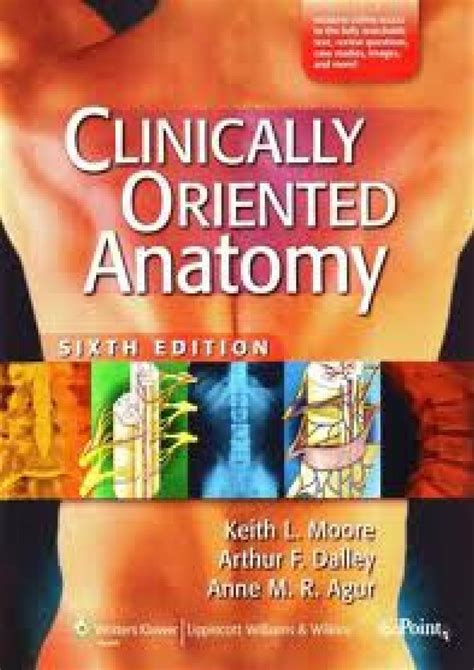 Read Online Clinically Oriented Anatomy 6Th Edition 